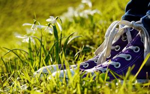 Preview wallpaper sneakers, grass, flowers, legs