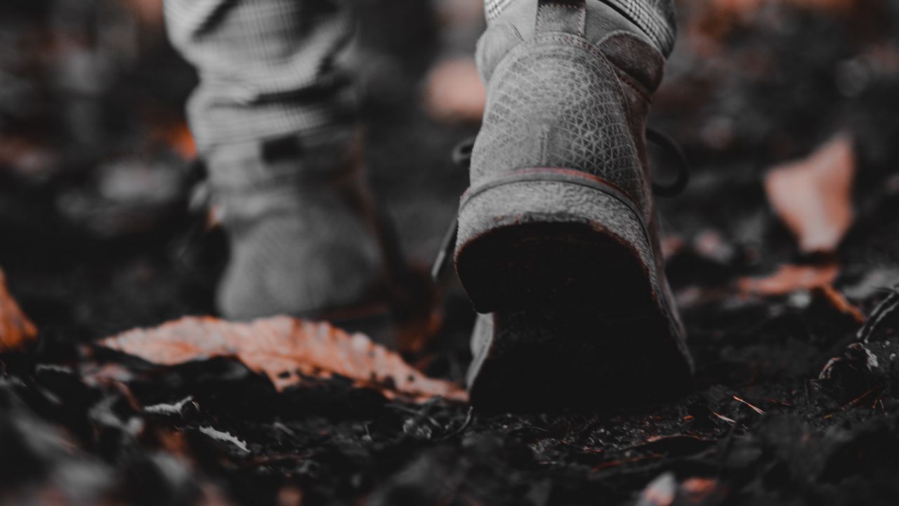 Wallpaper sneakers, legs, leaves