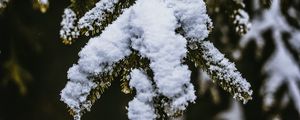 Preview wallpaper snow, branch, snowy, blur