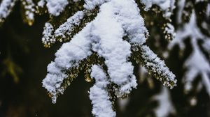 Preview wallpaper snow, branch, snowy, blur