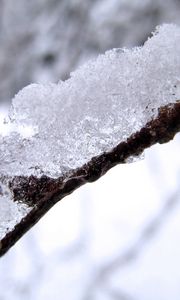 Preview wallpaper snow, branch, white, brown