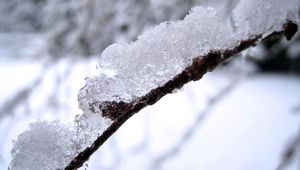 Preview wallpaper snow, branch, white, brown