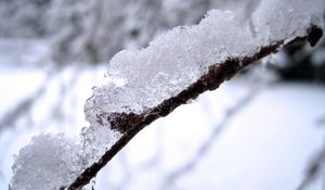 Preview wallpaper snow, branch, white, brown