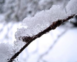 Preview wallpaper snow, branch, white, brown