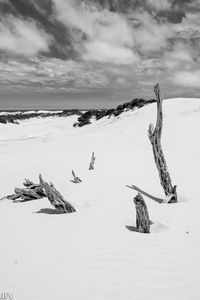 Preview wallpaper snow, branches, hill, landscape, winter, bw