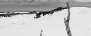 Preview wallpaper snow, branches, hill, landscape, winter, bw