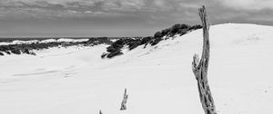 Preview wallpaper snow, branches, hill, landscape, winter, bw