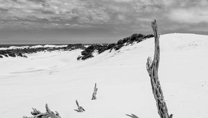 Preview wallpaper snow, branches, hill, landscape, winter, bw