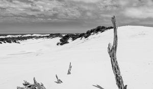 Preview wallpaper snow, branches, hill, landscape, winter, bw