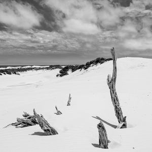 Preview wallpaper snow, branches, hill, landscape, winter, bw