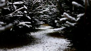 Preview wallpaper snow, branches, winter, path