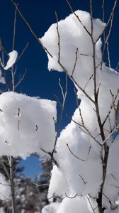 Preview wallpaper snow, branches, winter, trees, sky, nature