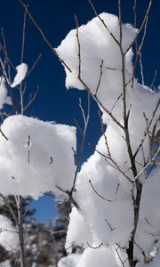 Preview wallpaper snow, branches, winter, trees, sky, nature