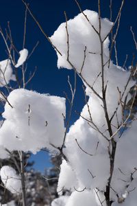 Preview wallpaper snow, branches, winter, trees, sky, nature