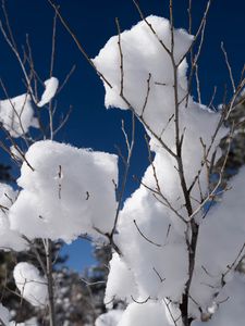 Preview wallpaper snow, branches, winter, trees, sky, nature