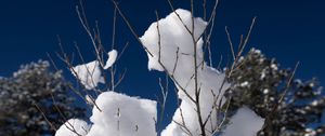 Preview wallpaper snow, branches, winter, trees, sky, nature