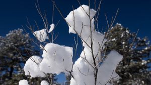 Preview wallpaper snow, branches, winter, trees, sky, nature