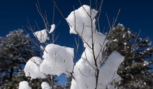 Preview wallpaper snow, branches, winter, trees, sky, nature