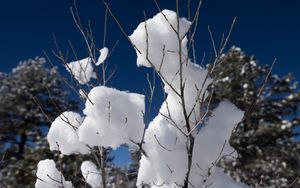 Preview wallpaper snow, branches, winter, trees, sky, nature