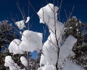 Preview wallpaper snow, branches, winter, trees, sky, nature