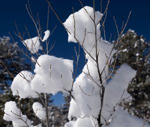 Preview wallpaper snow, branches, winter, trees, sky, nature