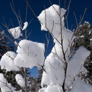 Preview wallpaper snow, branches, winter, trees, sky, nature