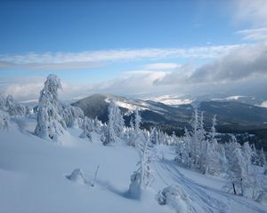 Preview wallpaper snow, carpathian mountains, the mountain stig, trees, ukraine, winter, svidovets, rahovsky area