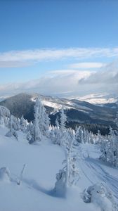 Snow Iphone 8 7 6s 6 For Parallax Wallpapers Hd Desktop Backgrounds 938x1668 Images And Pictures