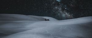 Preview wallpaper snow, drifts, stars, sky, night, winter