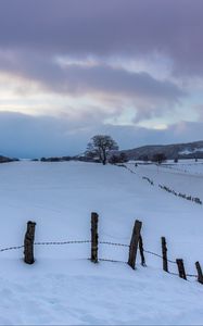 Preview wallpaper snow, fence, trees, winter, nature