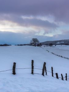 Preview wallpaper snow, fence, trees, winter, nature