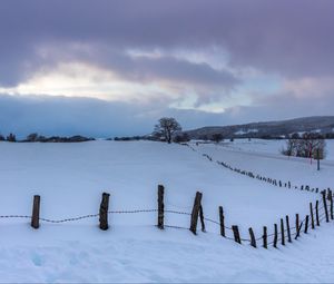 Preview wallpaper snow, fence, trees, winter, nature