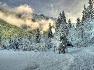 Preview wallpaper snow, fog, clouds, hills, winter, forest, spruce