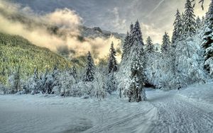 Preview wallpaper snow, fog, clouds, hills, winter, forest, spruce