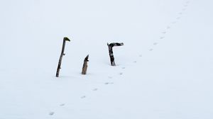 Preview wallpaper snow, footprints, logs, winter, white
