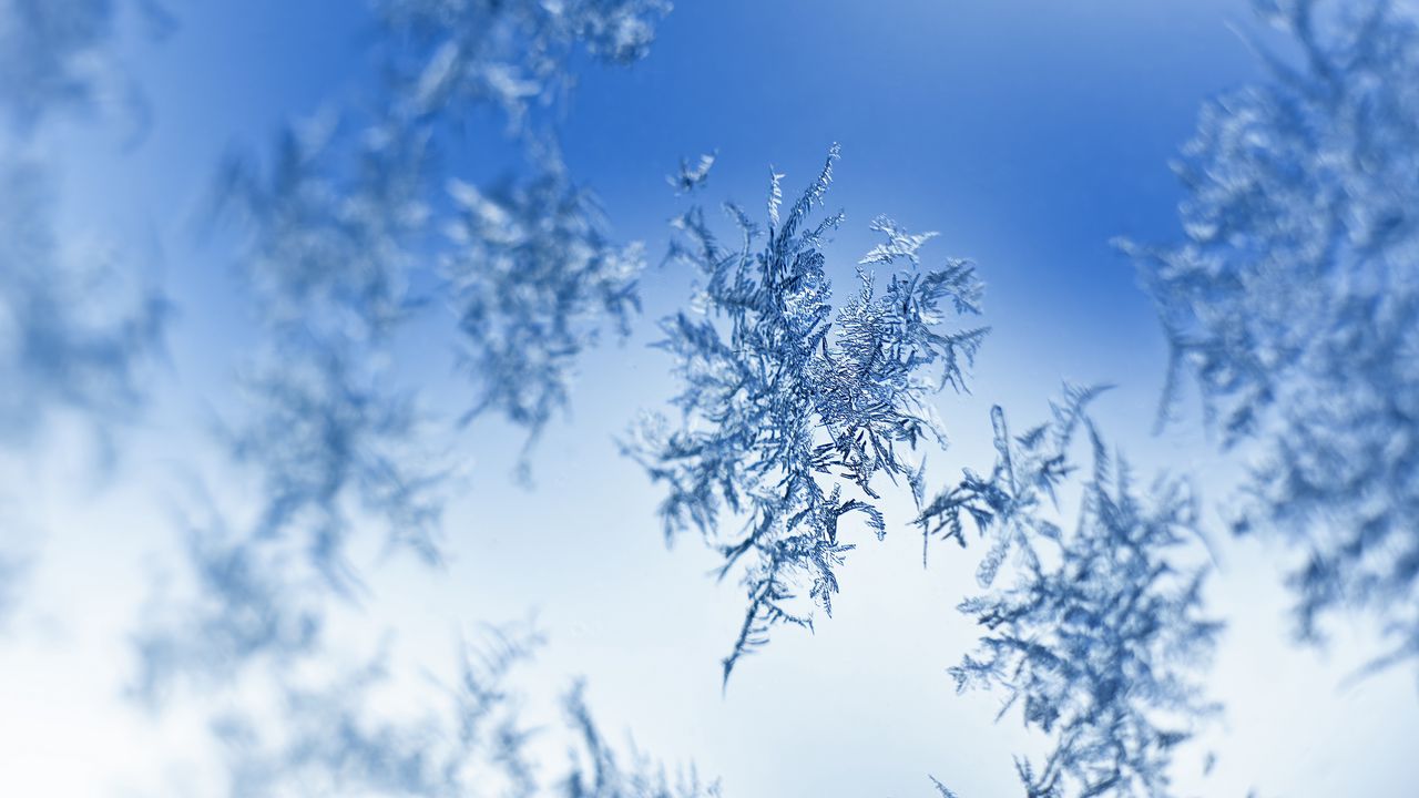 Wallpaper snow, frost, pattern, glass, macro, blue