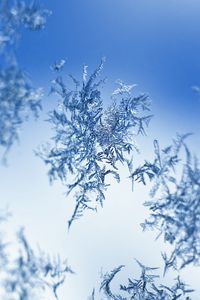 Preview wallpaper snow, frost, pattern, glass, macro, blue