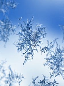 Preview wallpaper snow, frost, pattern, glass, macro, blue