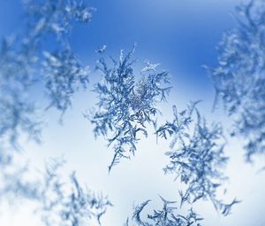 Preview wallpaper snow, frost, pattern, glass, macro, blue