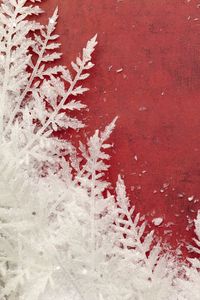 Preview wallpaper snow, frost, pattern, background, red, macro