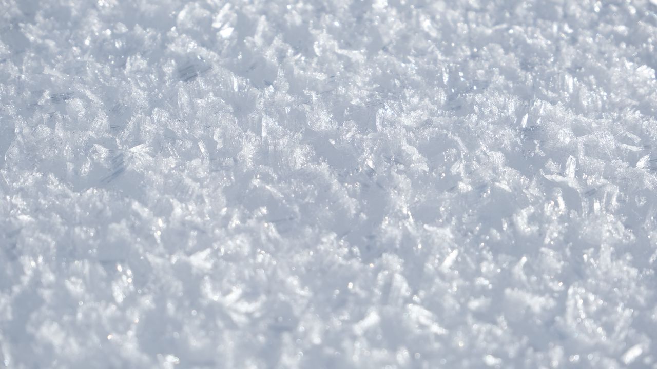 Wallpaper snow, frost, white, macro