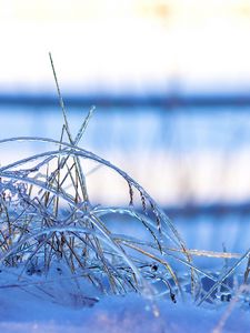 Preview wallpaper snow, frozen, grass, ice, winter