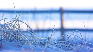 Preview wallpaper snow, frozen, grass, ice, winter