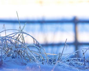 Preview wallpaper snow, frozen, grass, ice, winter