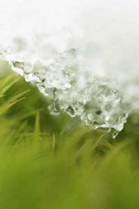 Preview wallpaper snow, grass, layer, ice
