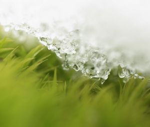 Preview wallpaper snow, grass, layer, ice