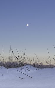 Preview wallpaper snow, grass, moon, evening