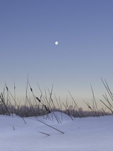 Preview wallpaper snow, grass, moon, evening