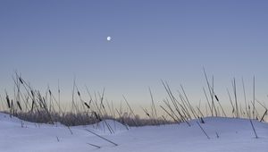 Preview wallpaper snow, grass, moon, evening