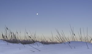 Preview wallpaper snow, grass, moon, evening